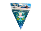 BANDERIN FROZEN 2M